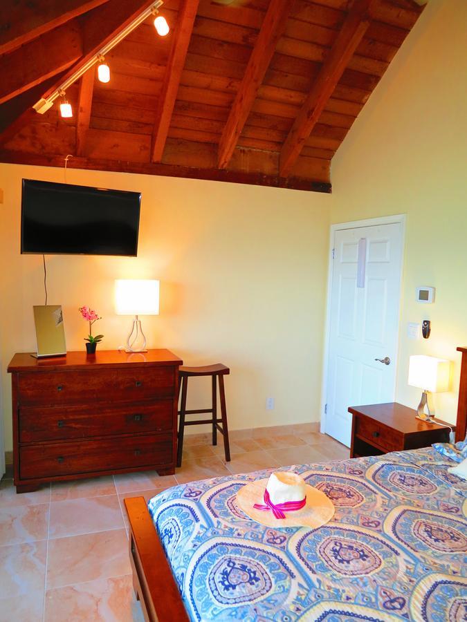 2Br Luxury Beachfront Duplex Villa On Sapphire Beach III East End  Εξωτερικό φωτογραφία