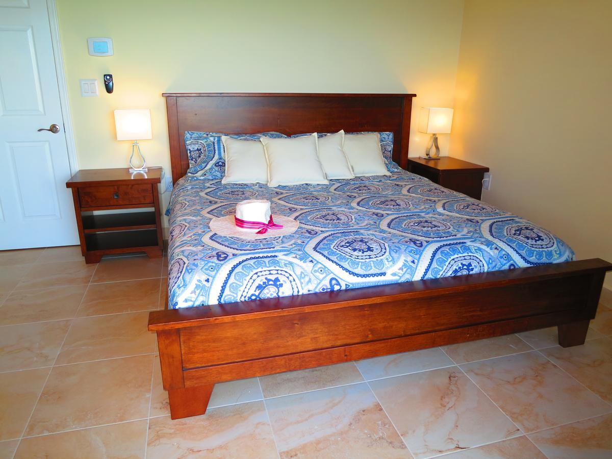 2Br Luxury Beachfront Duplex Villa On Sapphire Beach III East End  Εξωτερικό φωτογραφία